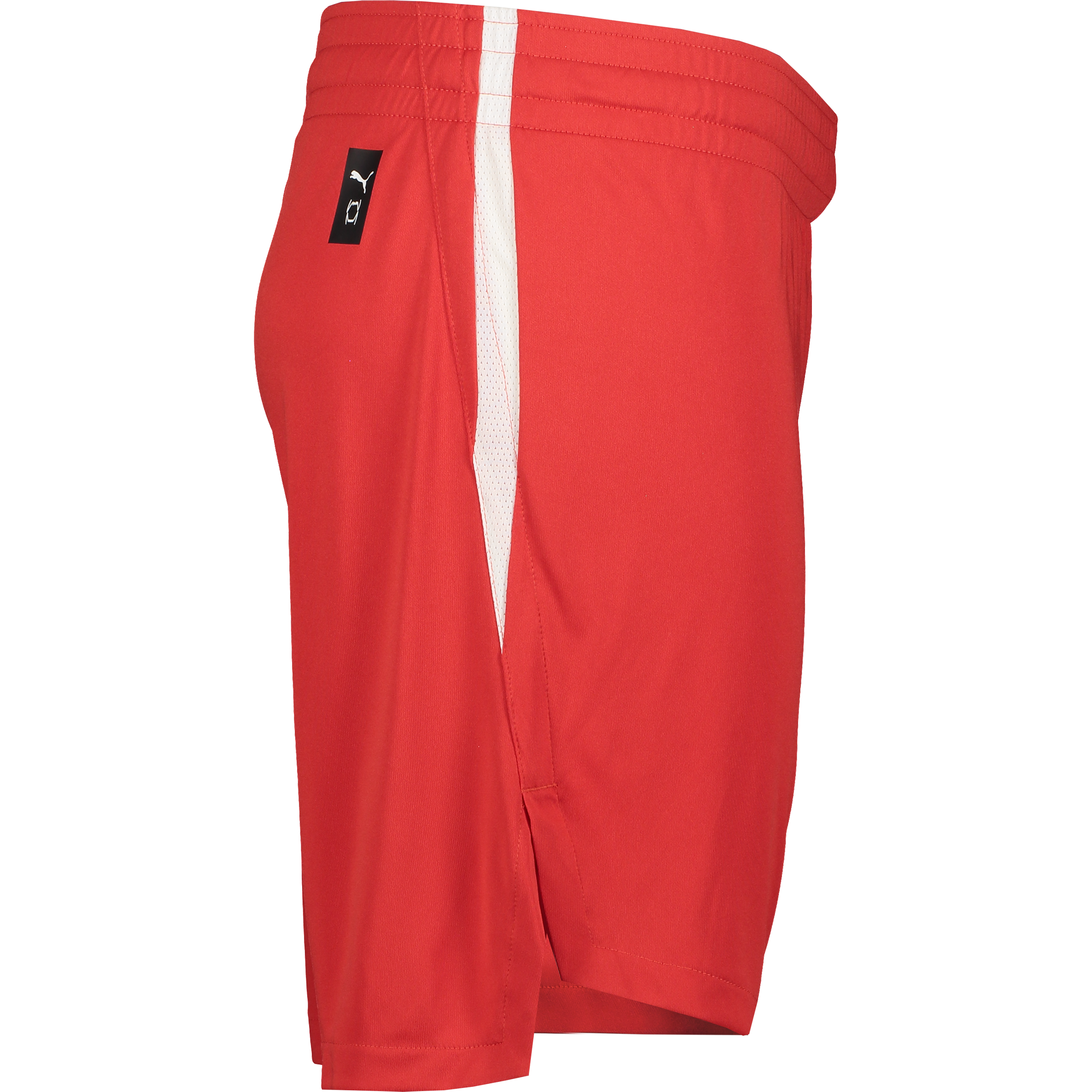 PUMA, TEAMJAWS STARTER SHORTS JR