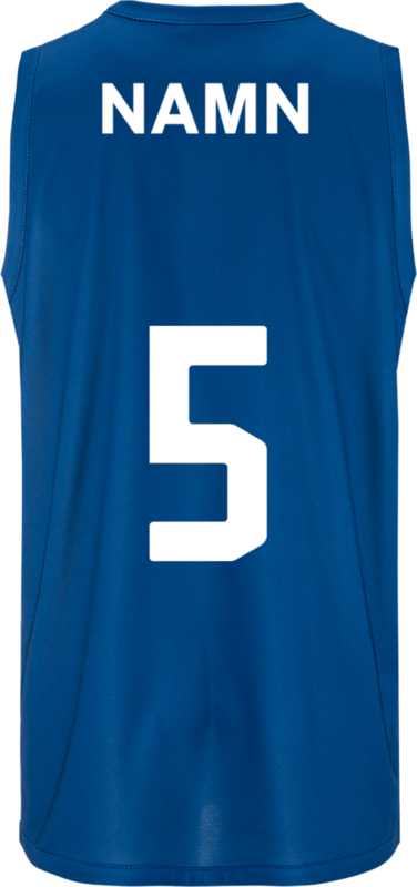 CRAFT, BASKET 2.0 REVERSIBLE SINGLET