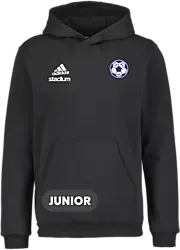 358916102101 ADIDAS Ent22 Hoody Jr 358916102101 ADIDAS Ent22 Hoody Jr Standard Small1x1