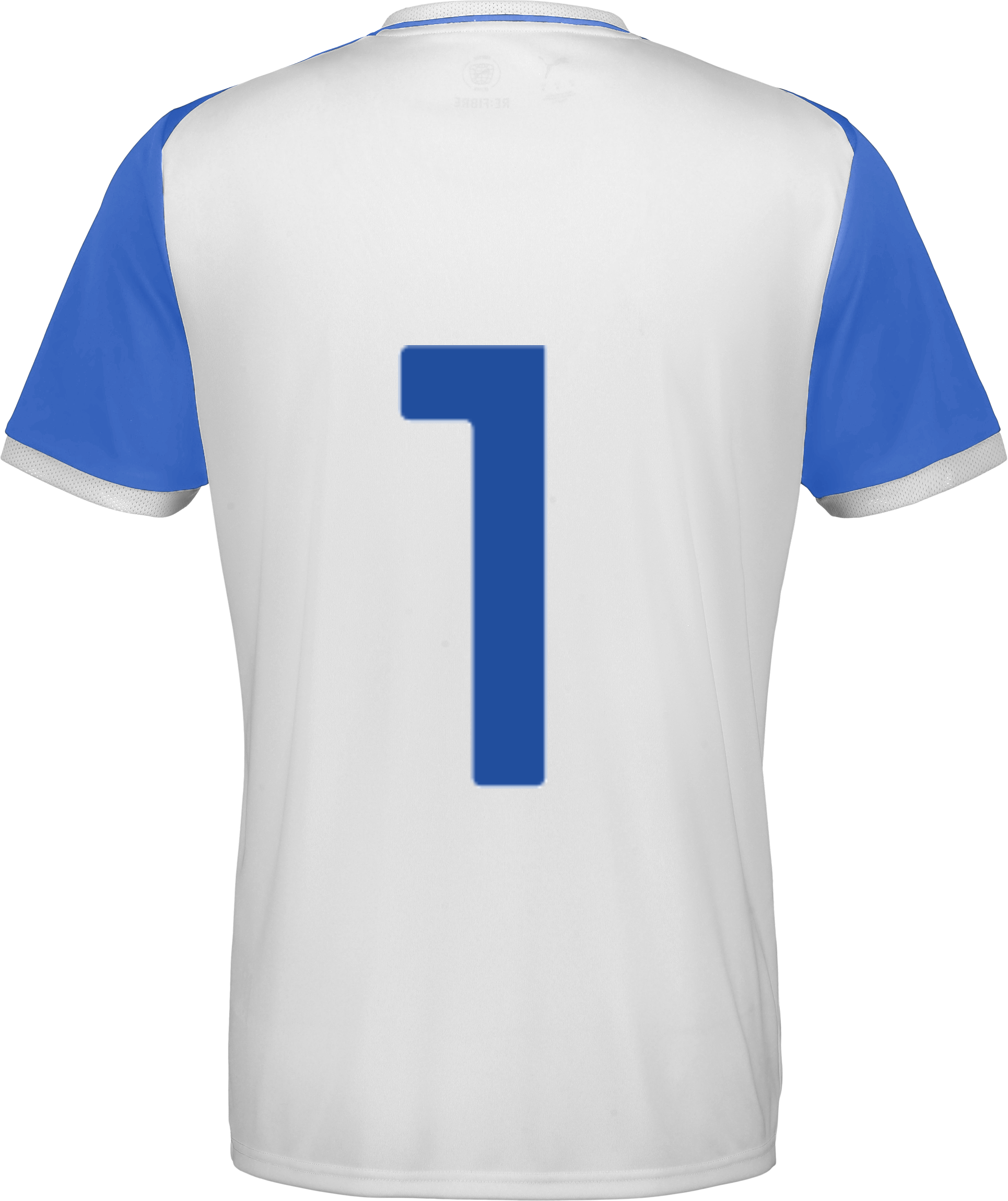 PUMA, TEAMLIGA26 MATCHDAY JERSEY