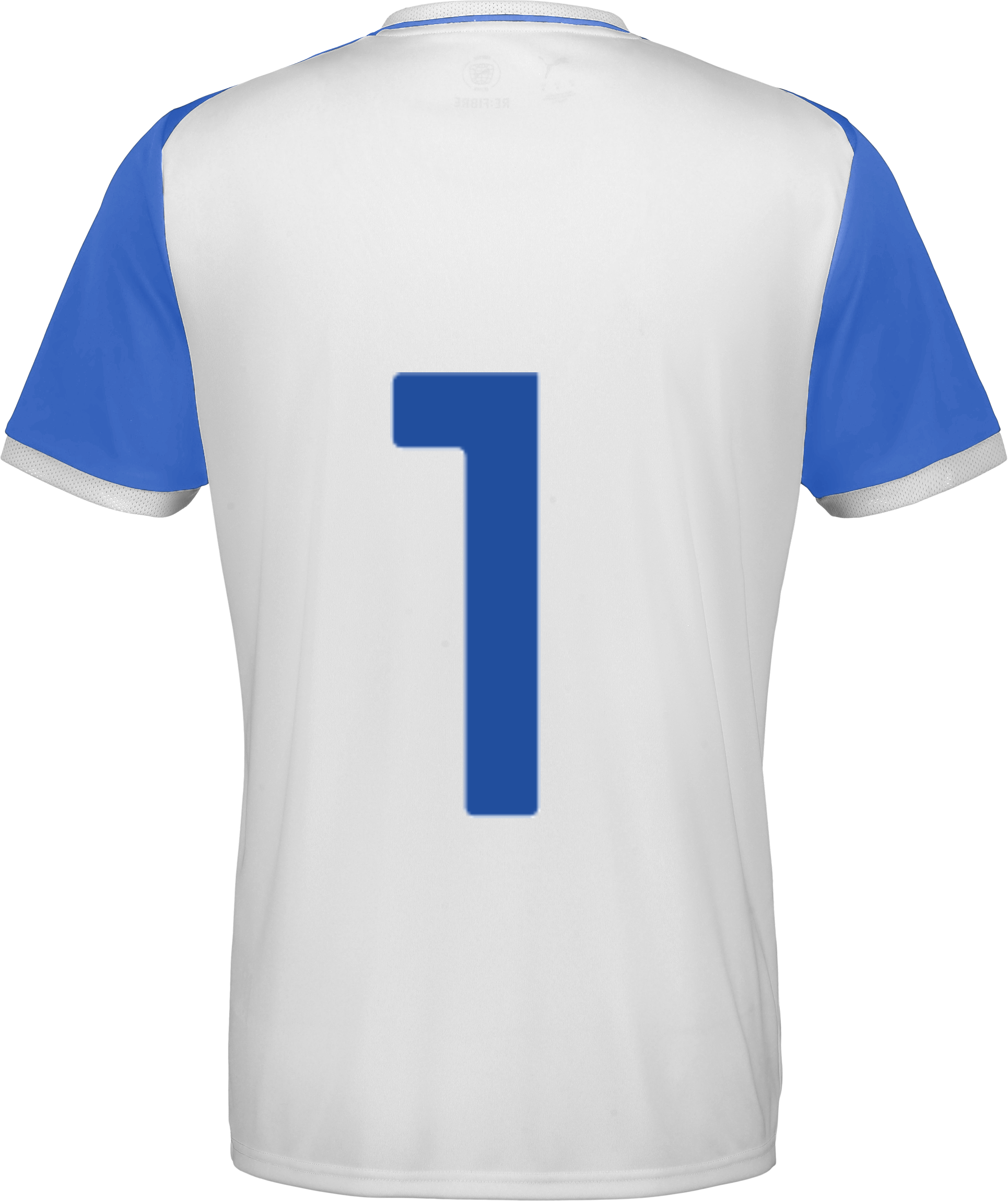 PUMA, TEAMLIGA26 MATCHDAY JERSEY