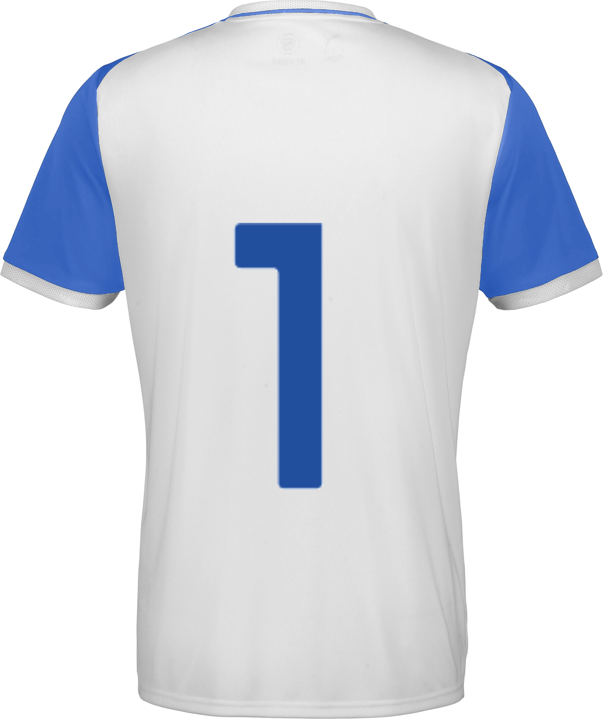 PUMA, TEAMLIGA26 MATCHDAY JERSEY
