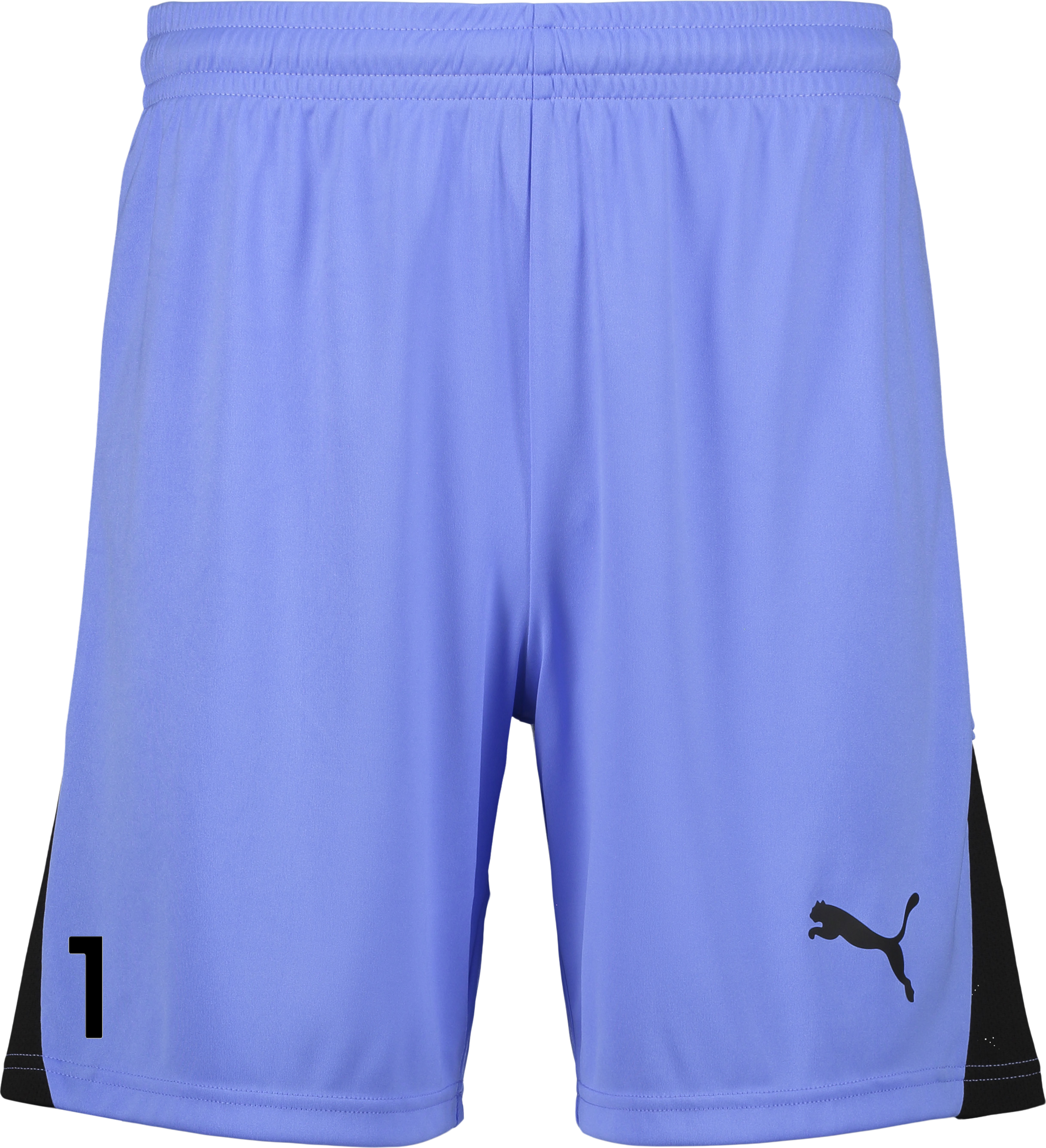 
PUMA, 
TEAMLIGA26 SHORTS JR, 
Detail 1
