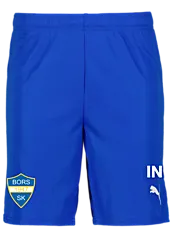 392286102101 PUMA T Goal Shorts Jr 392286102101 PUMA T Goal Shorts Jr Standard Small1x1