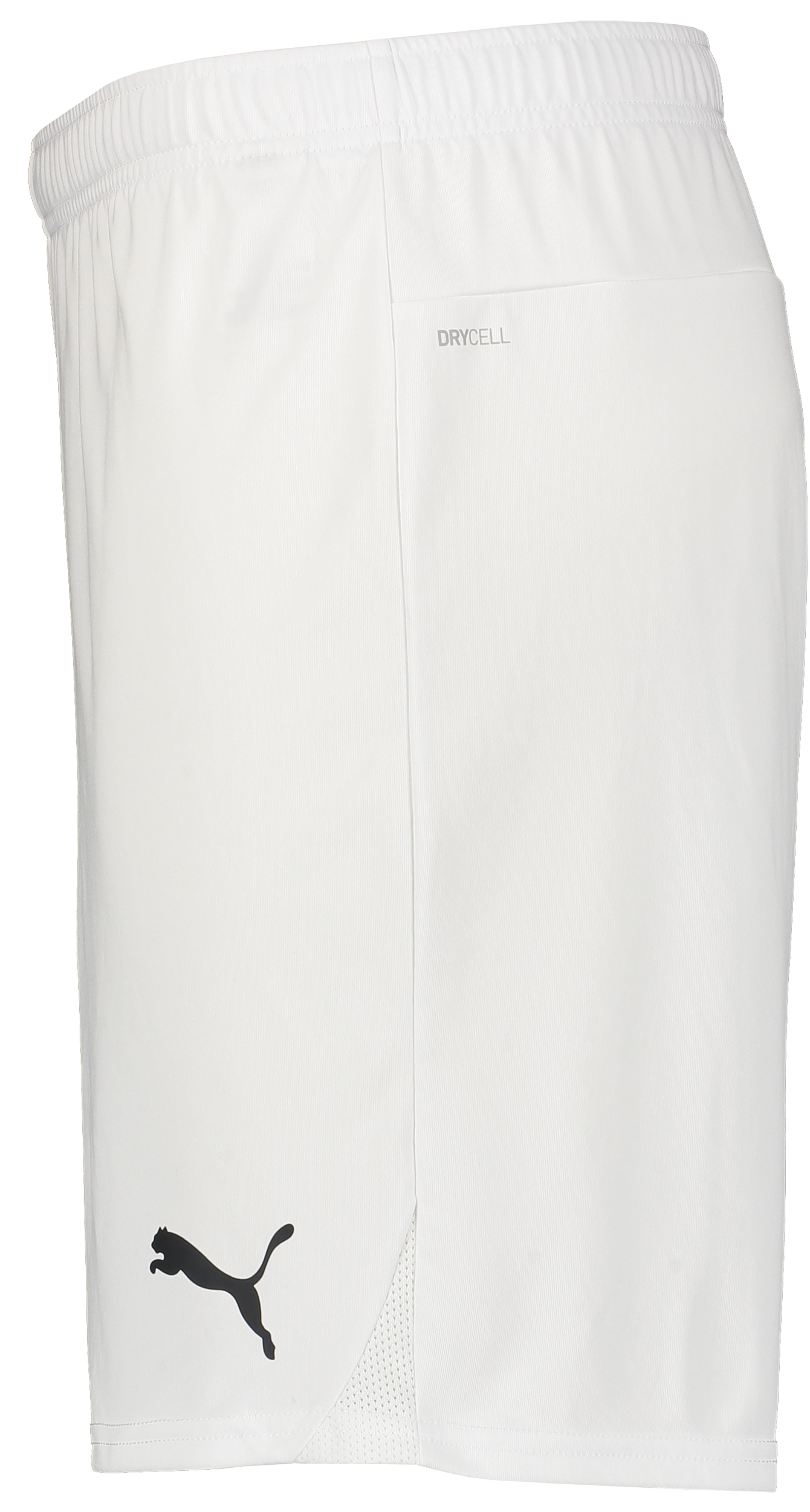 PUMA, T Goal Shorts Jr