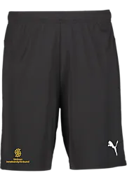 391942103101 PUMA T Goal Shorts 391942103101 PUMA T Goal Shorts Standard Small1x1
