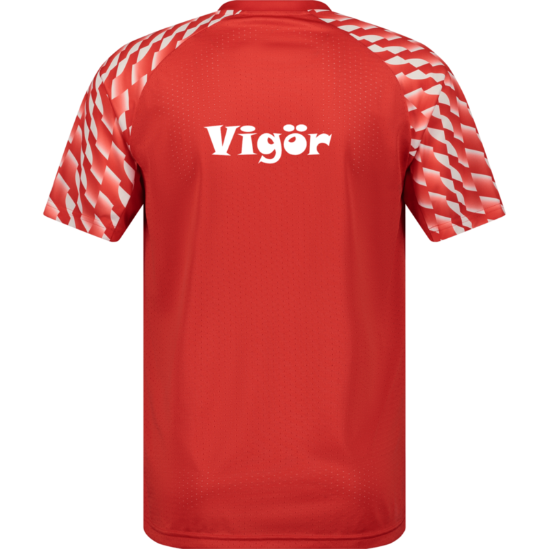 PUMA, TEAMLIGA26 JERSEY
