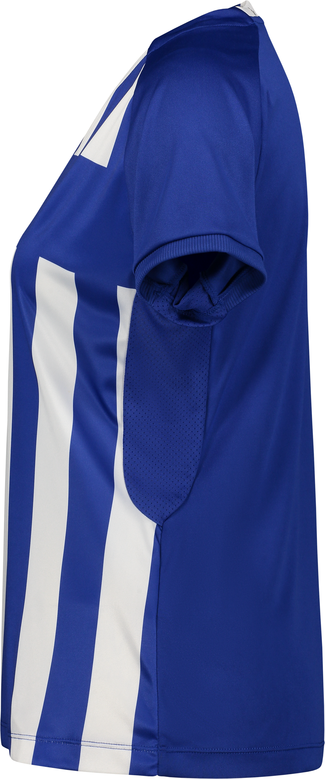 CRAFT, Prog 2.0 Striped Jsy W