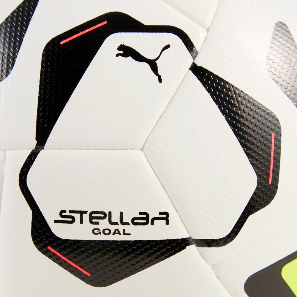 PUMA, STELLAR GOAL