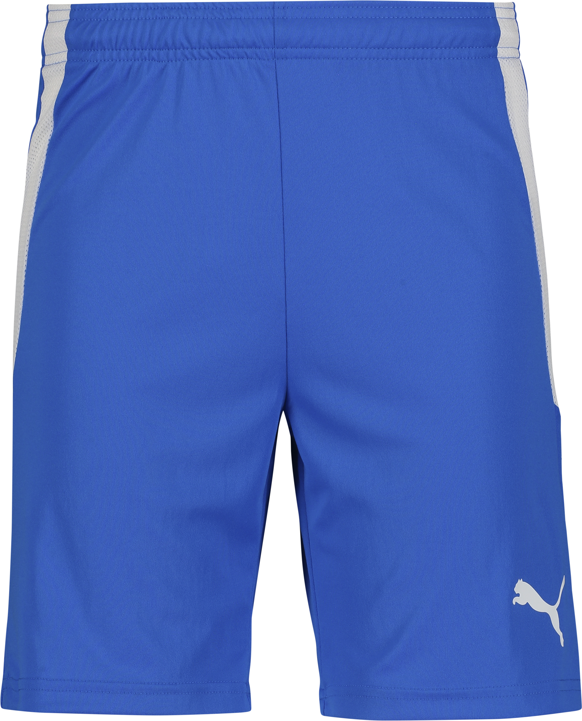 
PUMA, 
T Liga Shorts Jr, 
Detail 1
