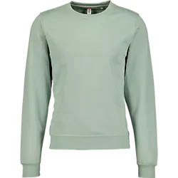 Miami Roundneck - Sage Green Standard Small1x1