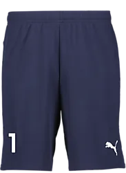 391942106101 PUMA T Goal Shorts 391942106101 PUMA T Goal Shorts Standard Small1x1