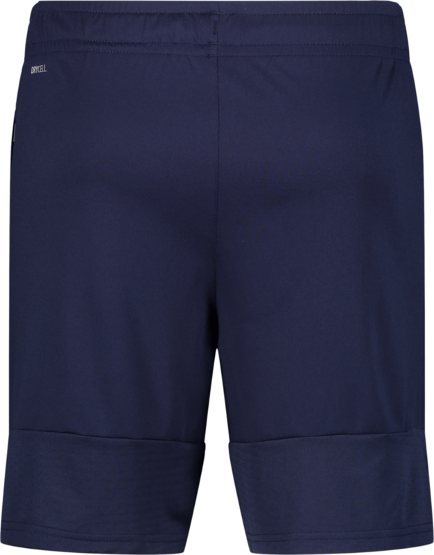 PUMA, TEAMLIGA TRAINING SHORTS