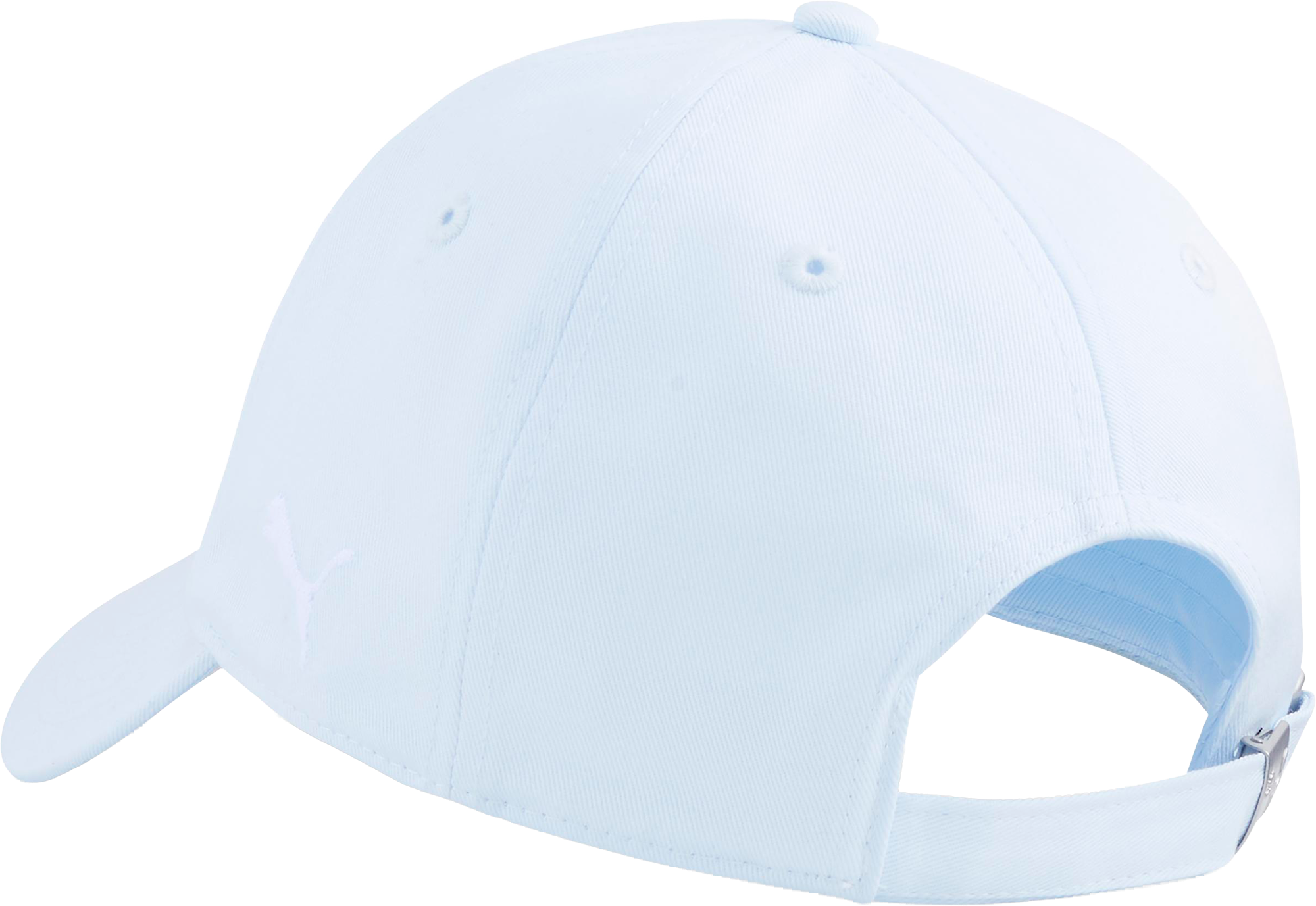 PUMA, MCFC ESS CAP