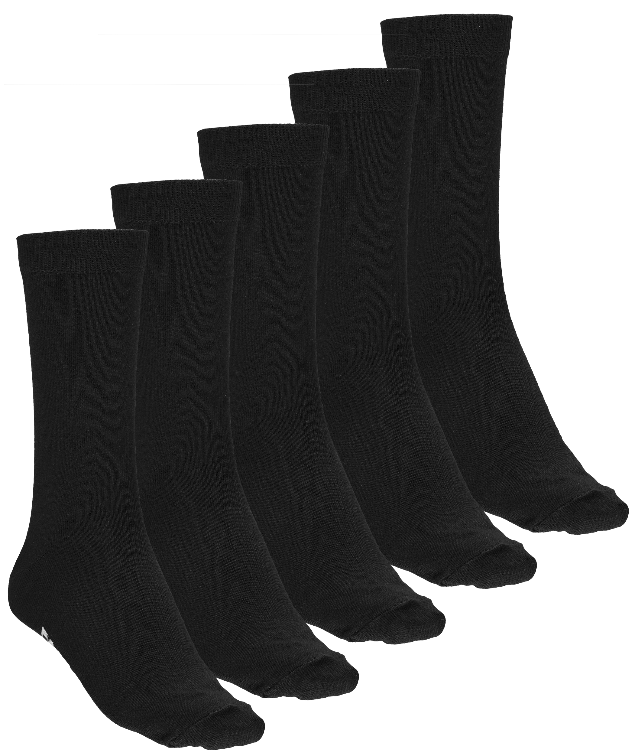 
FRANK DANDY, 
So 5p Ed Solid S U, 
Detail 1
