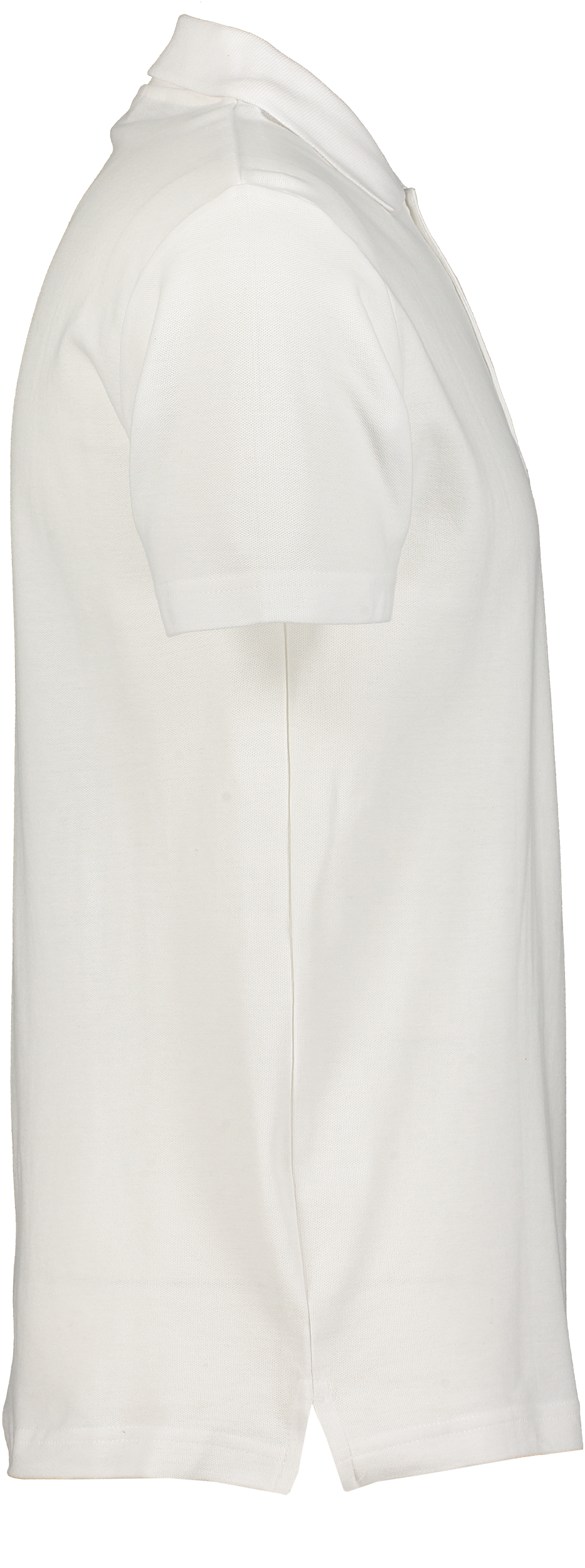 CLIQUE, Basic Polo Jr