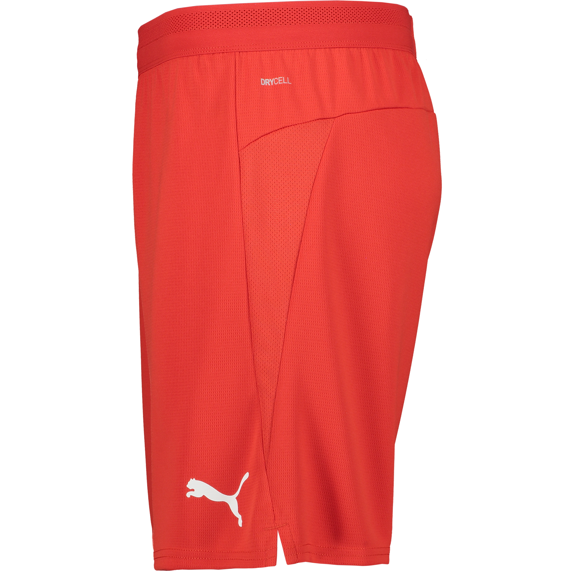 PUMA, Teamcup Shorts