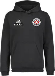 358916102101 ADIDAS Ent22 Hoody Jr 358916102101 ADIDAS Ent22 Hoody Jr Standard Small1x1