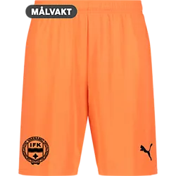 391942112101 PUMA T Goal Shorts 391942112101 PUMA T Goal Shorts Standard Small1x1