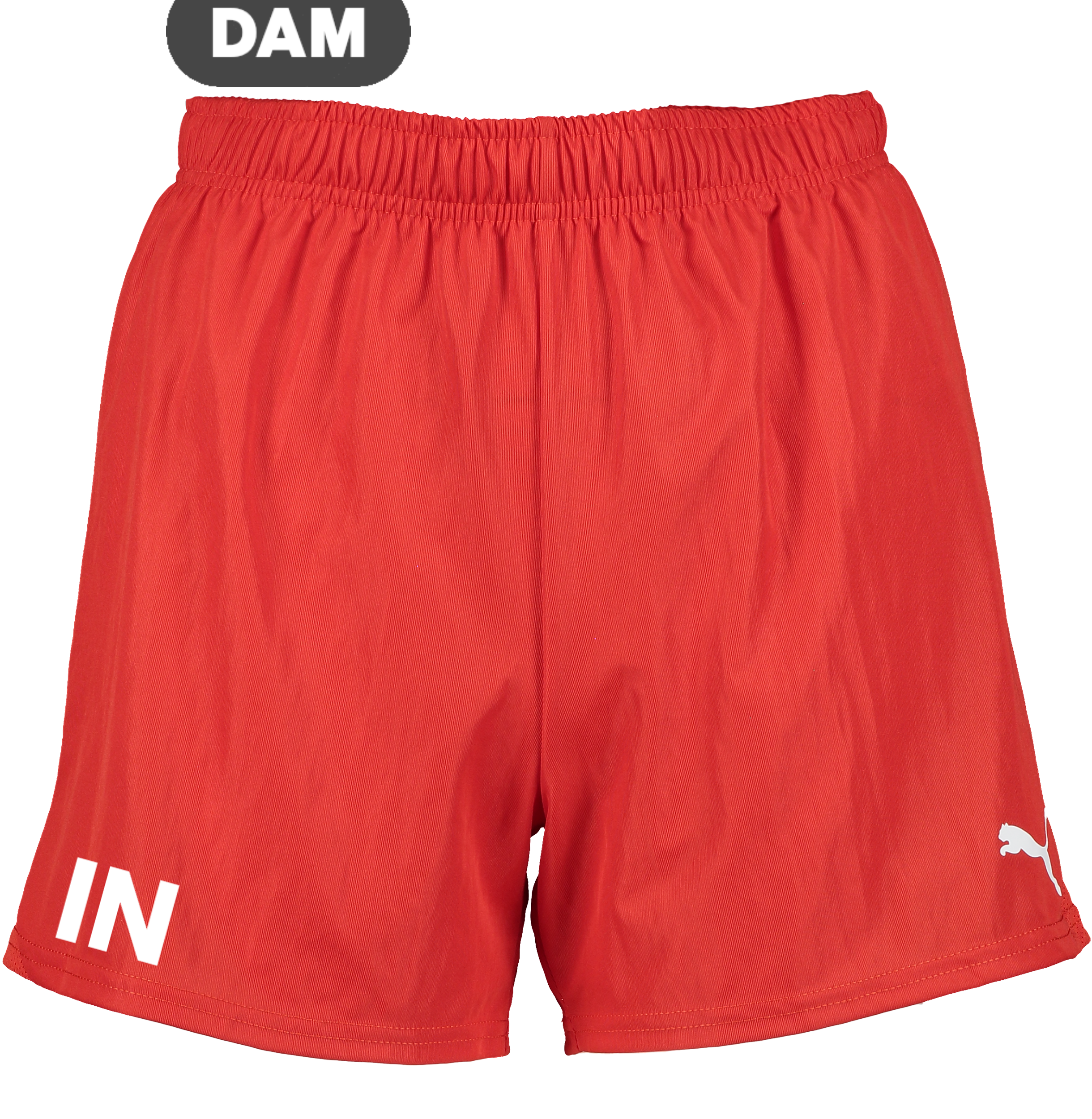 
PUMA, 
T Goal Shorts Wmns, 
Detail 1
