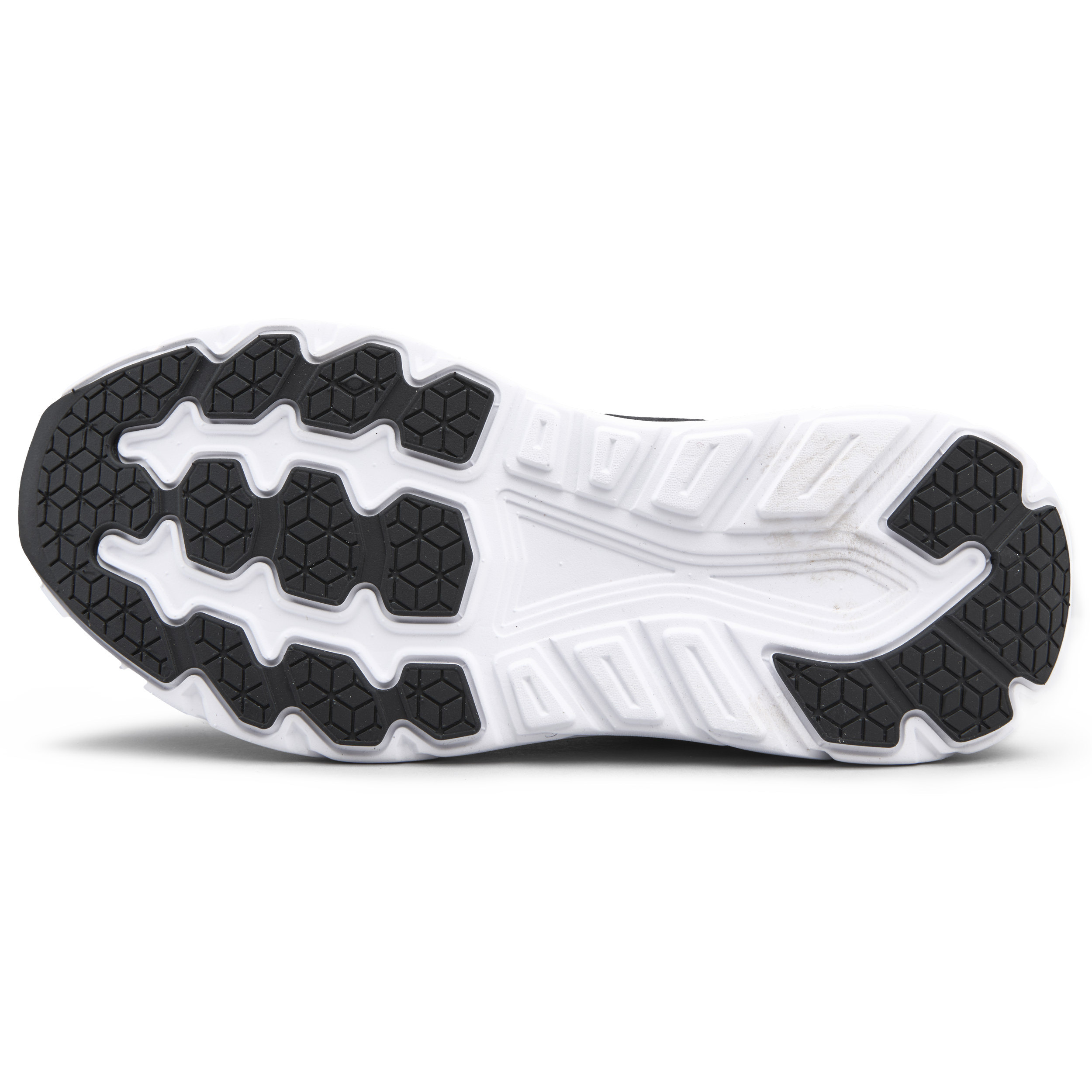 BAGHEERA, Octane Snk W