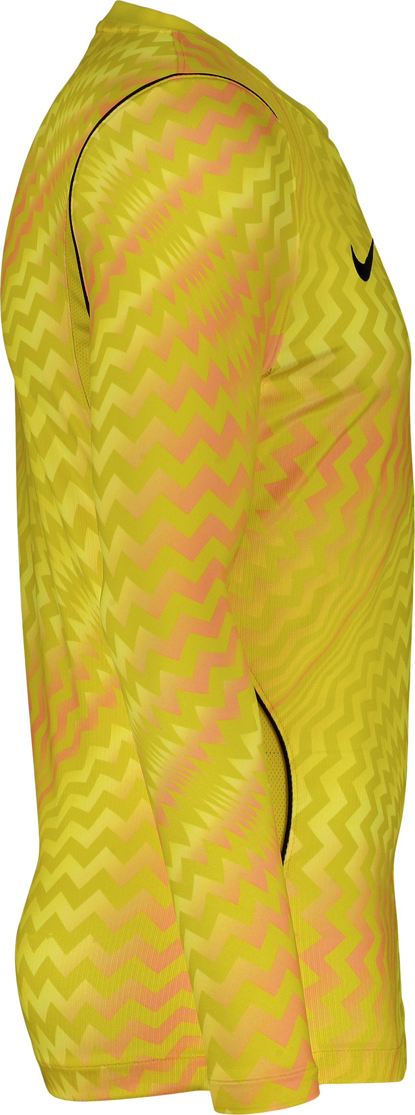 NIKE, GARDIEN VI GK LS JSY