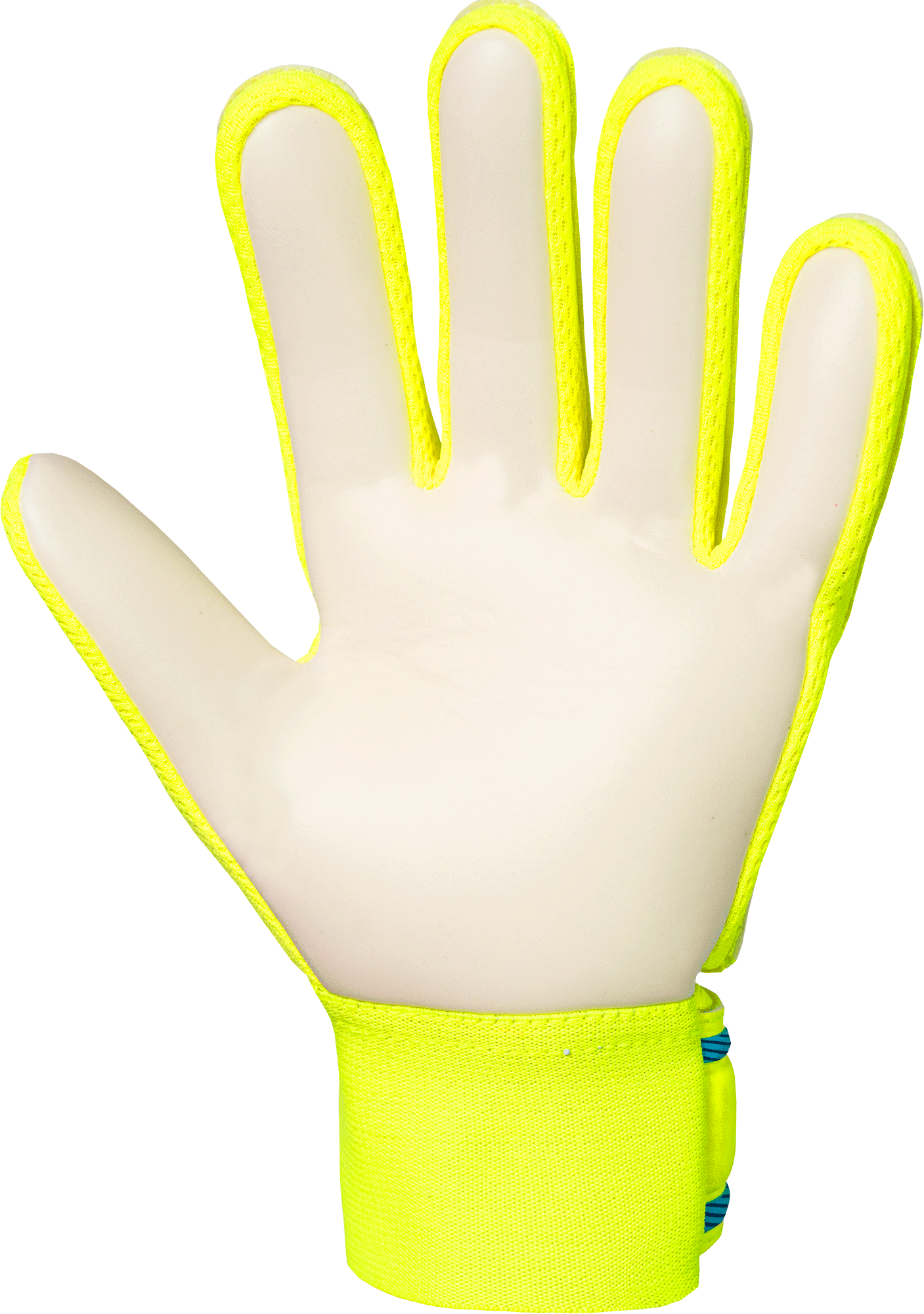 REUSCH, ATTRAKT STARTER SOLID JUNIOR