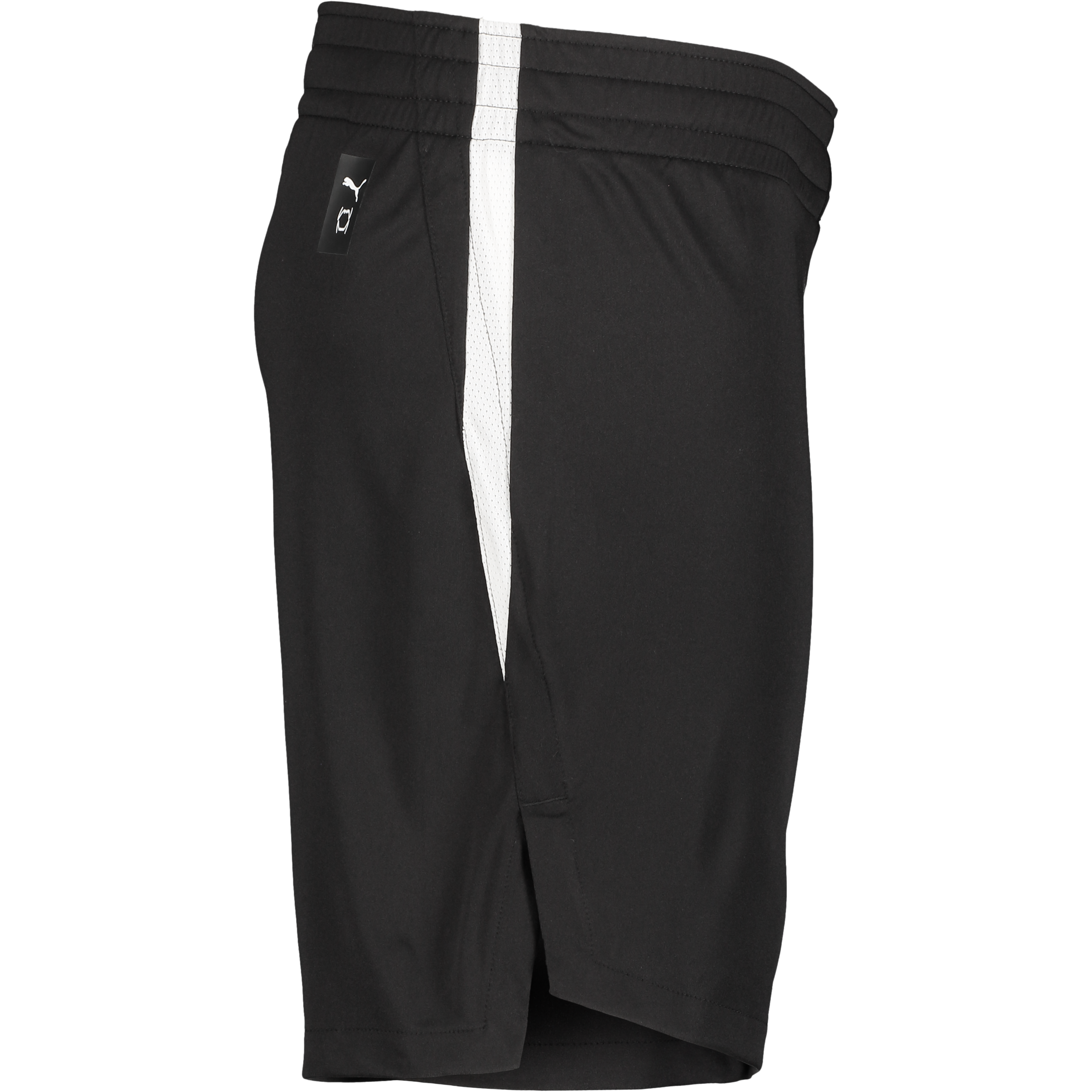 PUMA, TEAMJAWS STARTER SHORTS JR