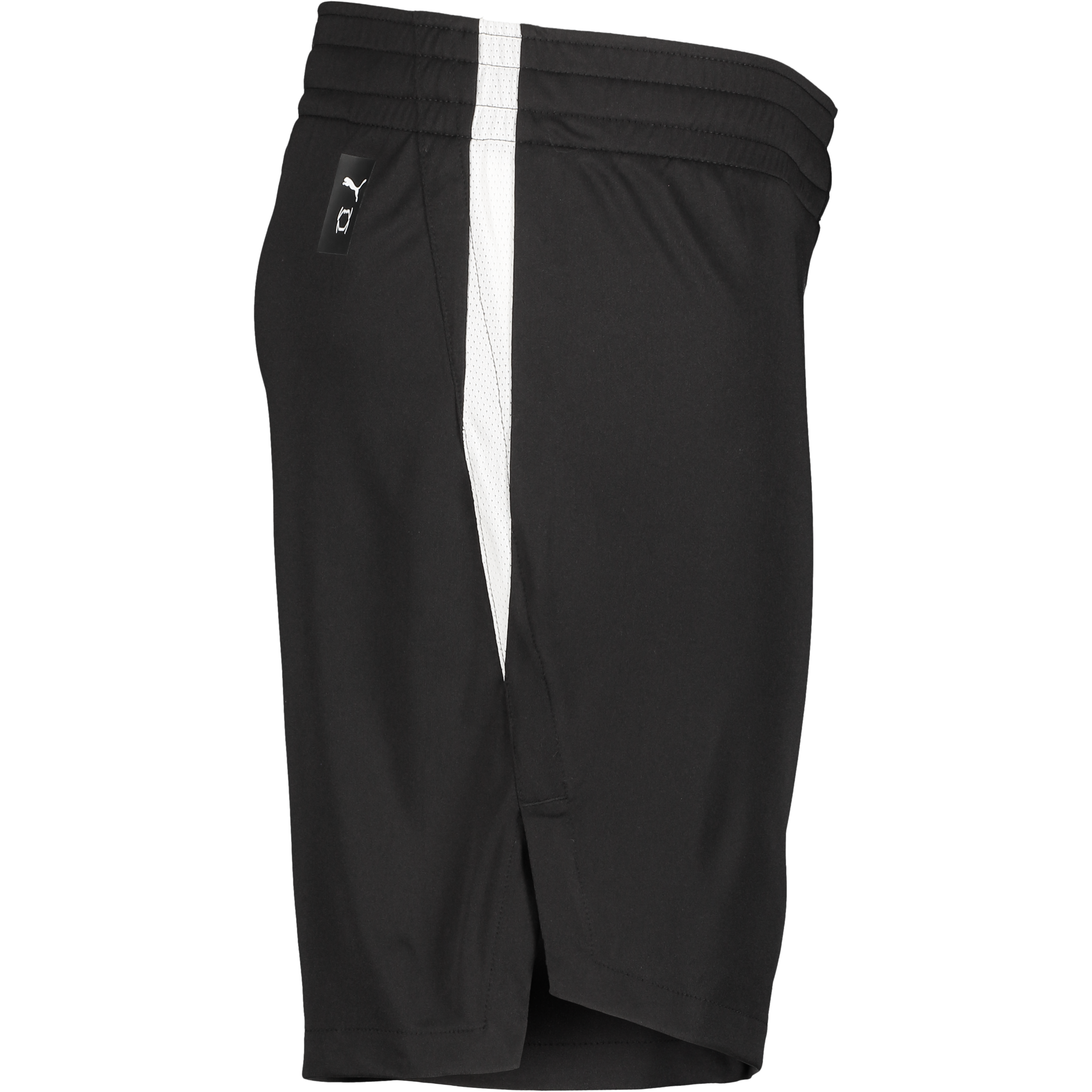 PUMA, TEAMJAWS STARTER SHORTS JR