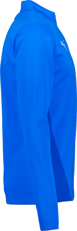 PUMA, T Goal 1/4 Zip Jr