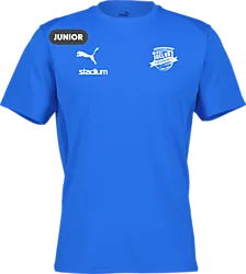 392096102101 PUMA T Goal Trg Jsy Jr 392096102101 PUMA T Goal Trg Jsy Jr Standard Small1x1