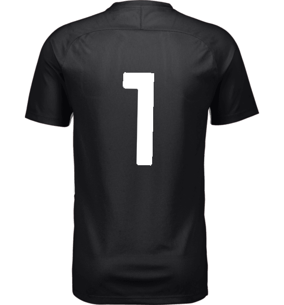 ADIDAS, CU ENT26 GRAPHIC JSY JR