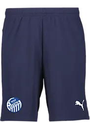 392286106101 PUMA T Goal Shorts Jr 392286106101 PUMA T Goal Shorts Jr Standard Small1x1
