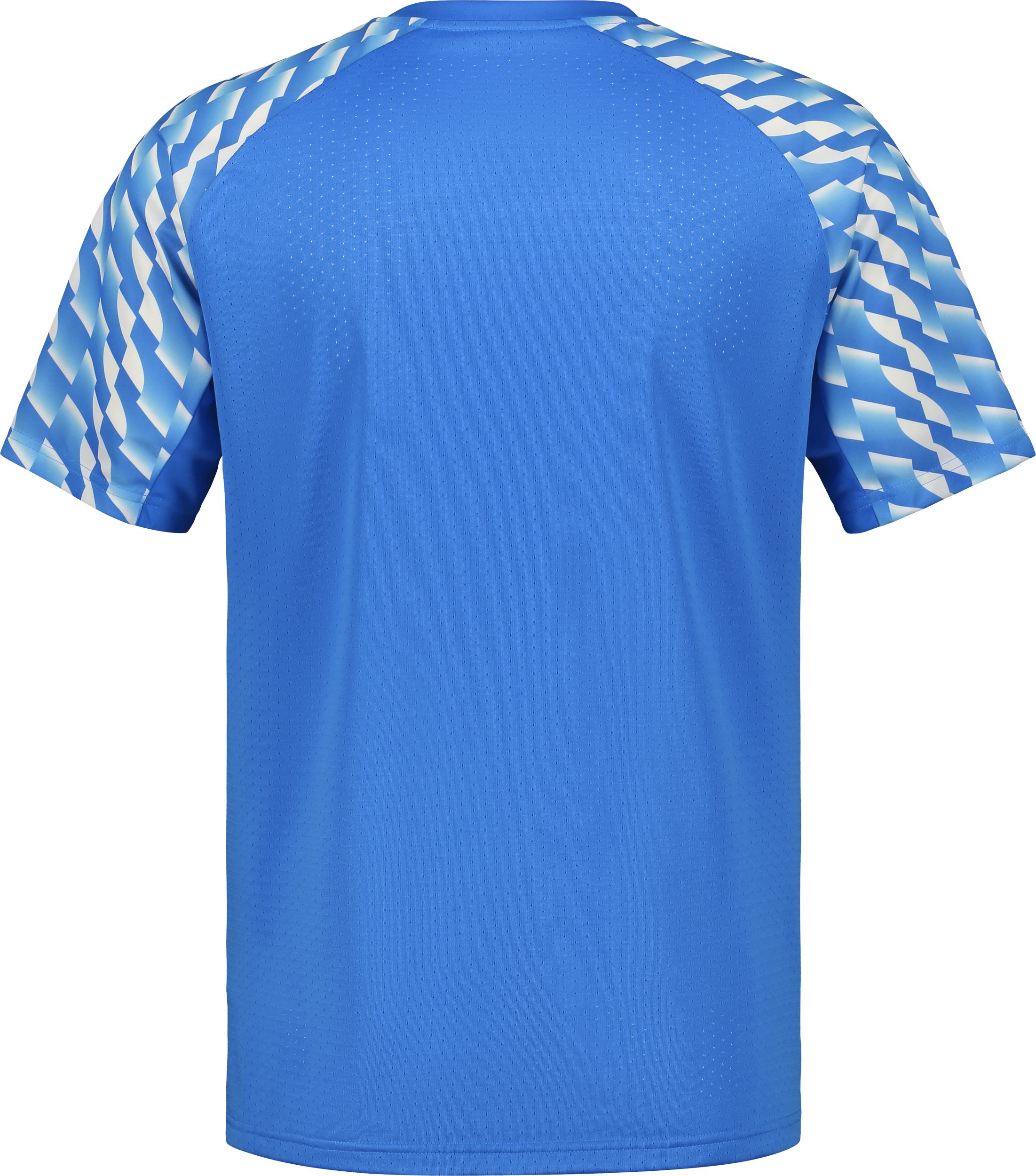 PUMA, TEAMLIGA26 JERSEY