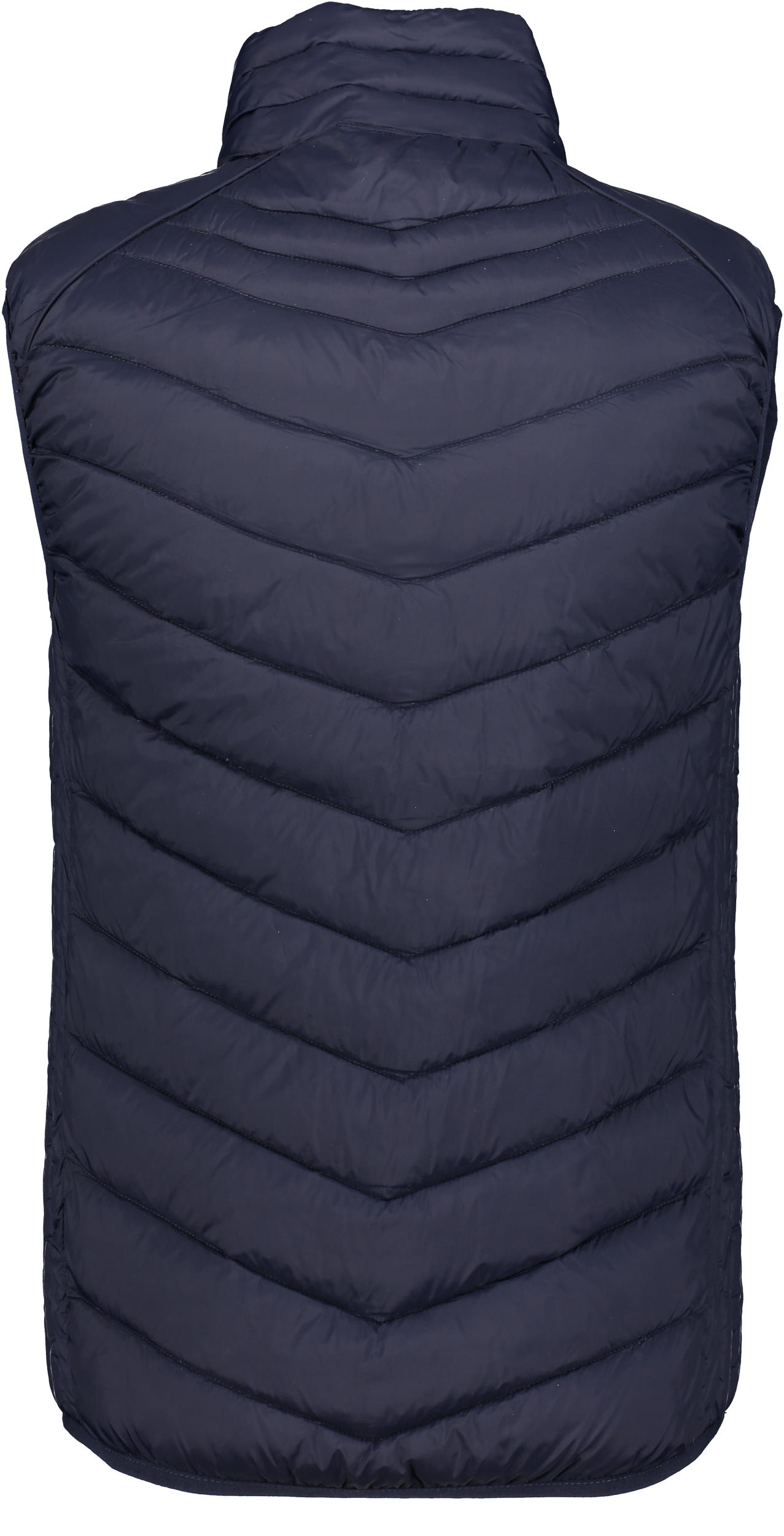 CLIQUE, Idaho Vest