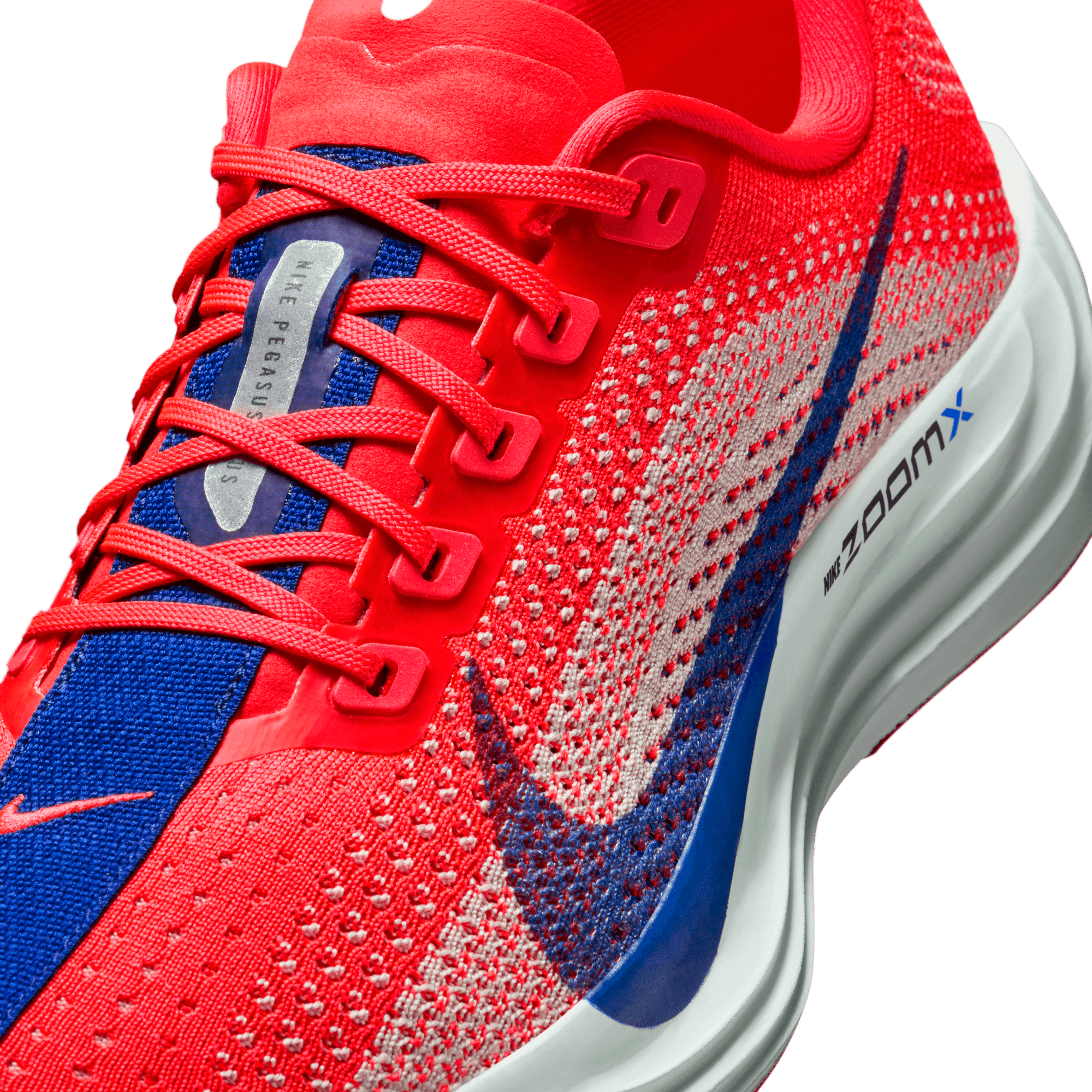 NIKE, W Pegasus Plus