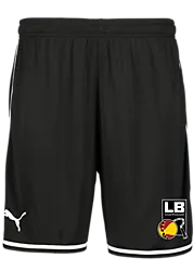 387202101101 PUMA Hoops Team Game Short 387202101101 PUMA Hoops Team Game Short Standard Small1x1