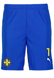 391942102101 PUMA T Goal Shorts 391942102101 PUMA T Goal Shorts Standard Small1x1