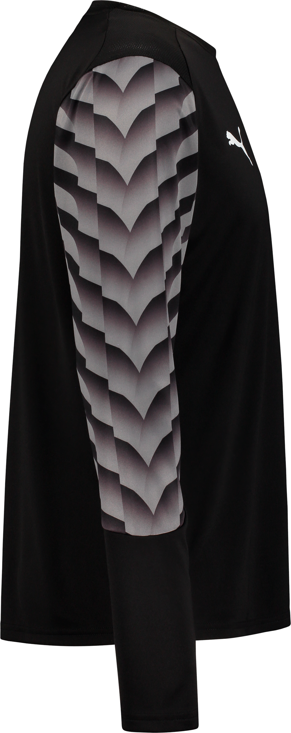 PUMA, TEAMLIGA26 GK JERSEY LS JR