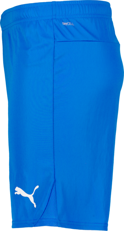 PUMA, T Goal Shorts