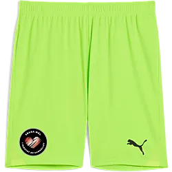 391942111101 PUMA T Goal Shorts 391942111101 PUMA T Goal Shorts Standard Small1x1