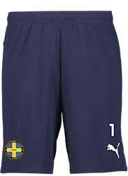 391942106101 PUMA T Goal Shorts 391942106101 PUMA T Goal Shorts Standard Small1x1