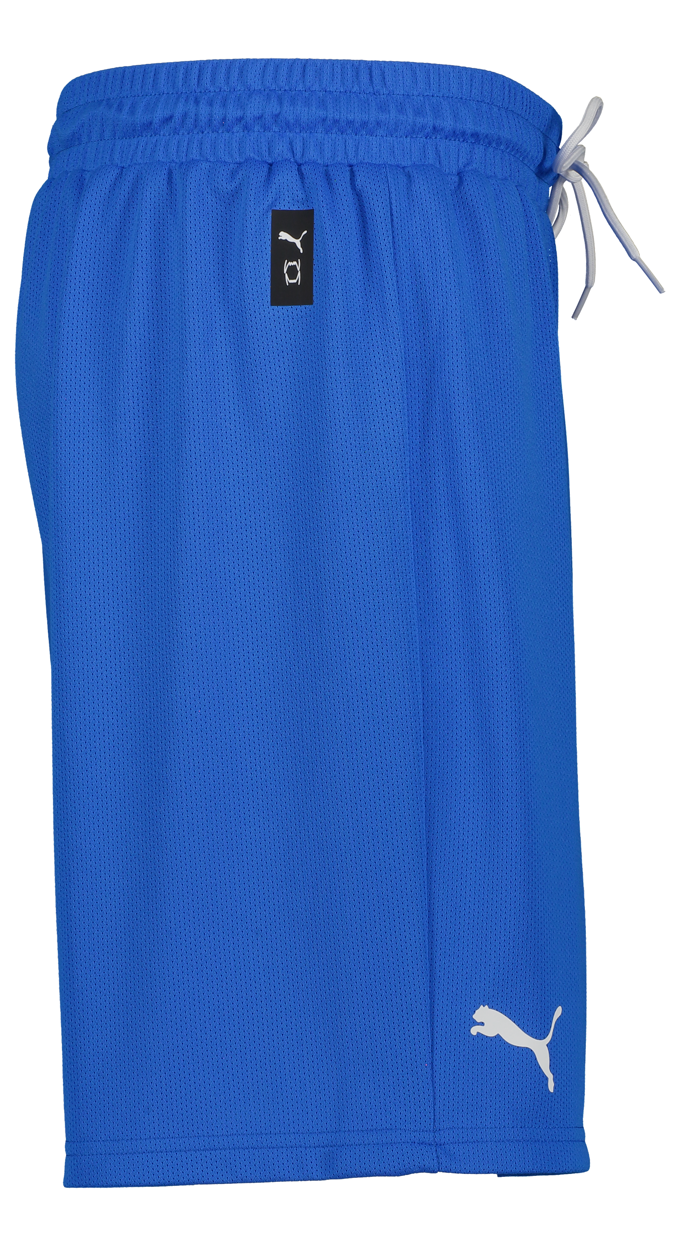 PUMA, Hoops Team Practice Short