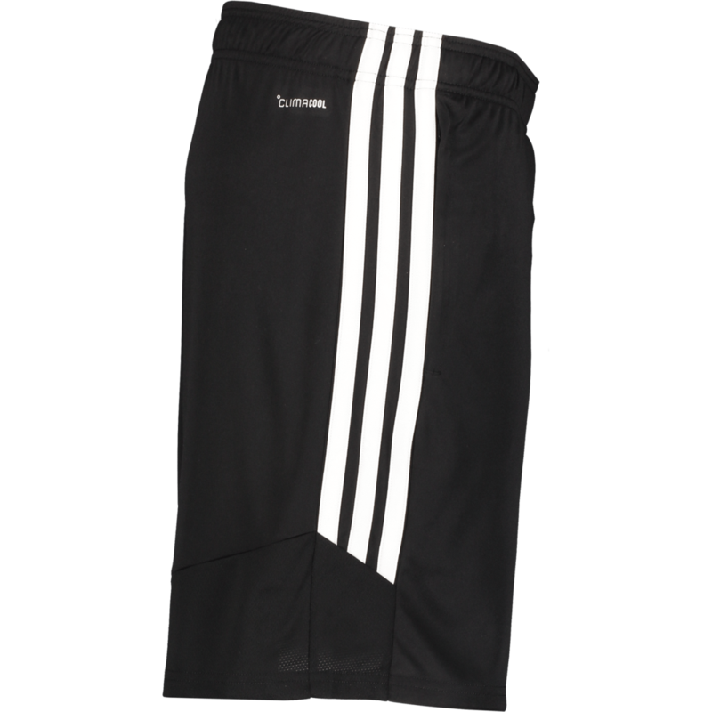 ADIDAS, TIRO26 L TR SHO