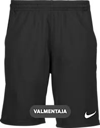 323389101101 NIKE Park20 Short 323389101101 NIKE Park20 Short Standard Small1x1