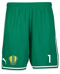 387202106101 PUMA Hoops Team Game Short 387202106101 PUMA Hoops Team Game Short Standard Small1x1