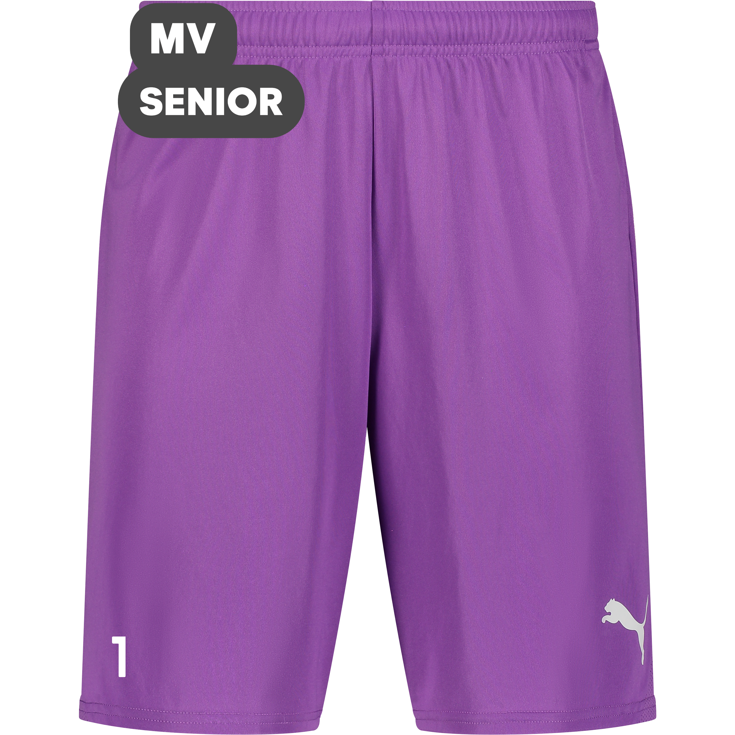 
PUMA, 
T Goal Shorts, 
Detail 1
