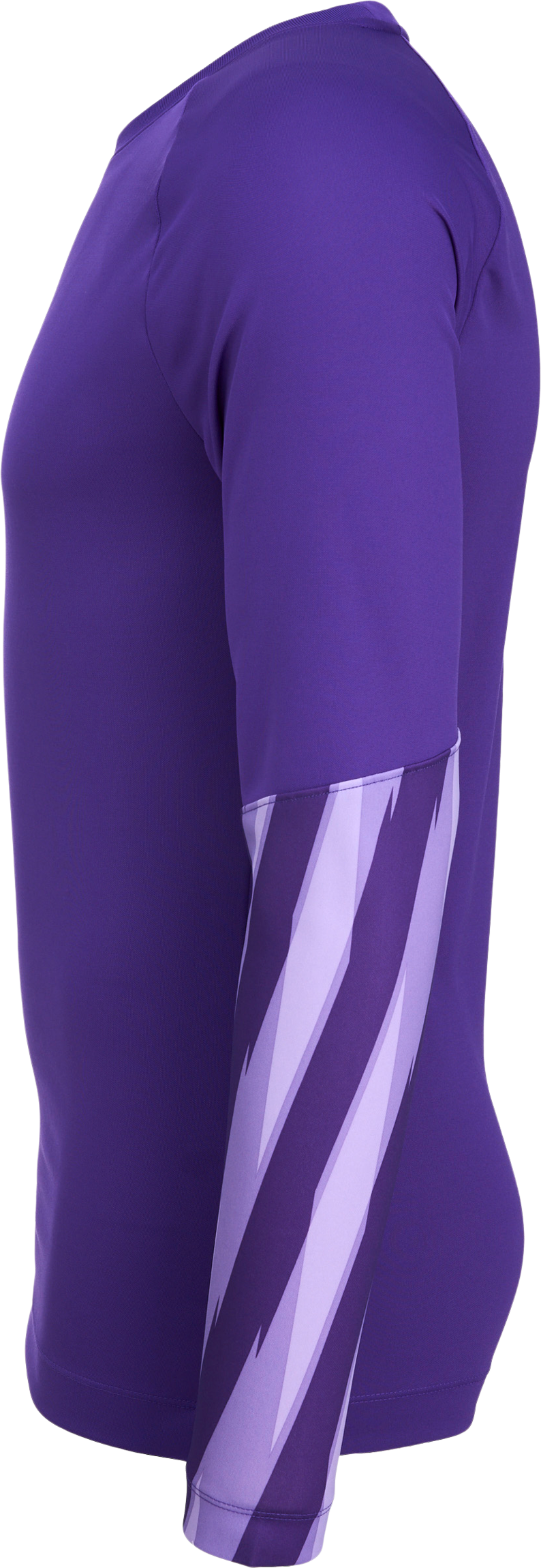 NIKE, PARK V GK LS JSY JR