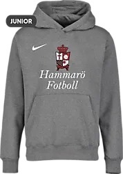 318287101101 NIKE Park 20 Flc Hood Jr 318287101101 NIKE Park 20 Flc Hood Jr Standard Small1x1