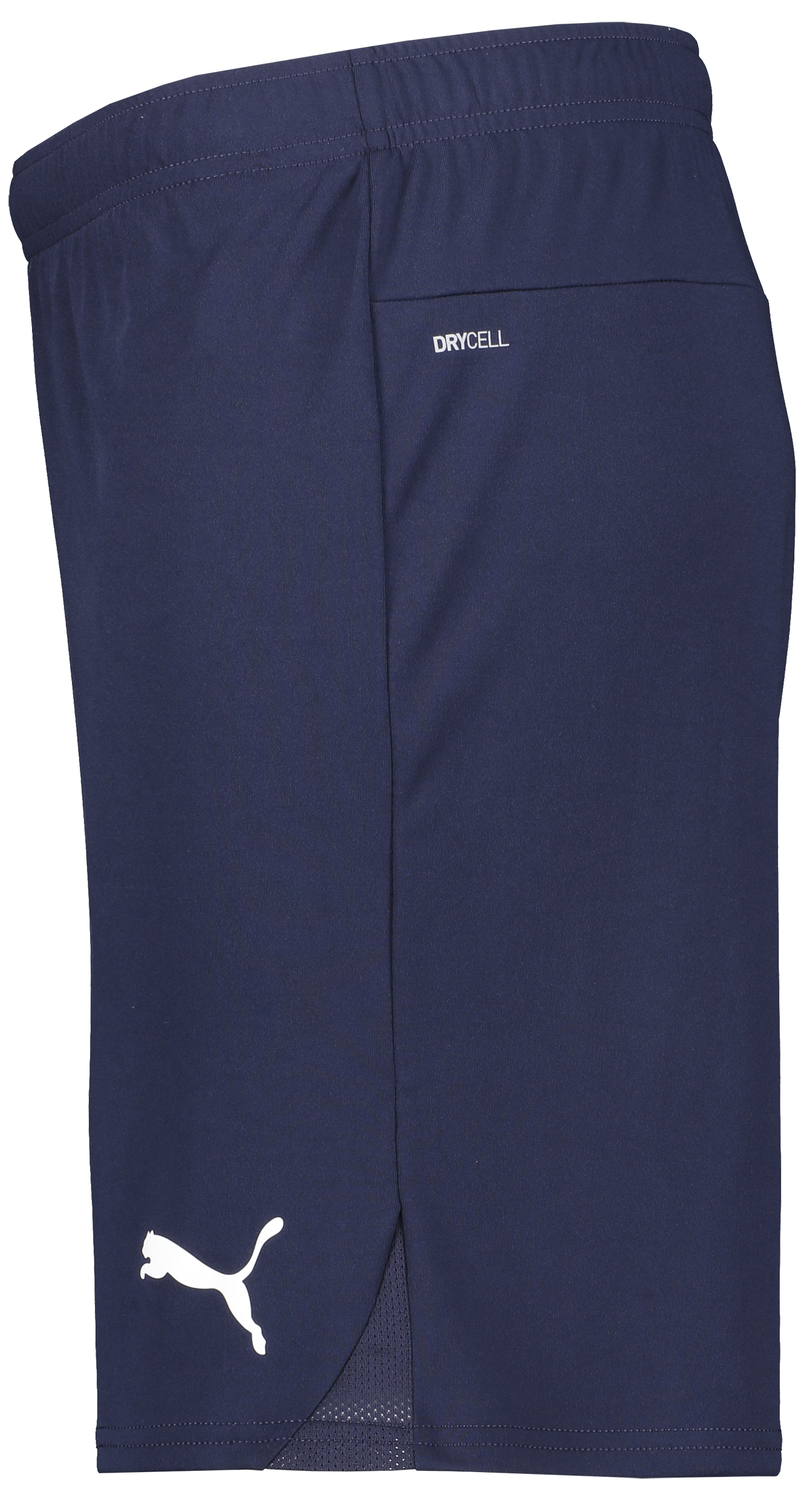 PUMA, T Goal Shorts